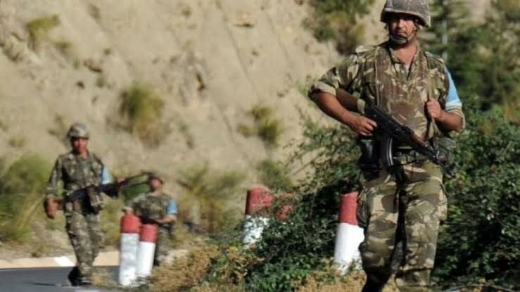 توقيف 18 عنصرا لدعم وإسناد الإرهاب - Réveil d'algérie