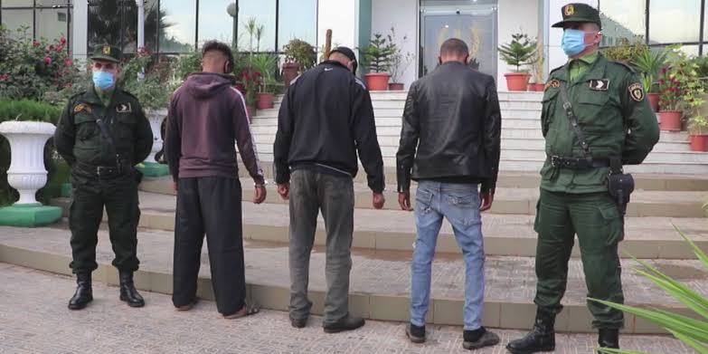 الدرك الوطني : توقيف 3 اشخاص مشتبه فيهم بحرق غابات خنشلة - Réveil d'algérie