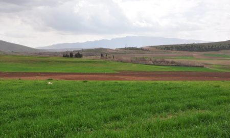 وزارة الفلاحة شروع عملية إحصاء الأراضي الفلاحية غير المستغلة في ولايات الشمال. - Réveil d'algérie