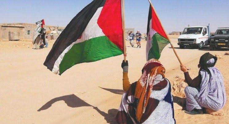 حث الناشط الحقوقي محرز العماري الأمم المتحدة والاتحاد الأفريقي على تحمل مسؤولياتهما تجاه الشعب الصحراوي لتمكينه من ممارسة حقه في الحرية والاستقلال. - Réveil d'algérie