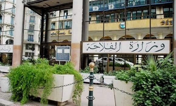 صرحت وزارة الفلاحة، الثلاثاء، تذكير المنتجين بإلزامية دفع كل محاصيلهم لتعاونيات الحبوب والبقول الجافة. - Réveil d'algérie