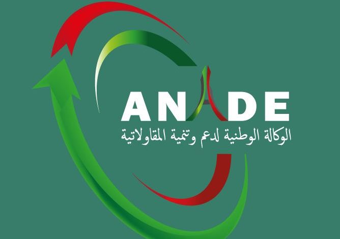نشطت الوكالة الوطنية لدعم وتنمية المقاولاتية “أناد” على منصة رقمية داخلية لاستقبال تظلمات واقتراحات المستخدمين. - Réveil d'algérie