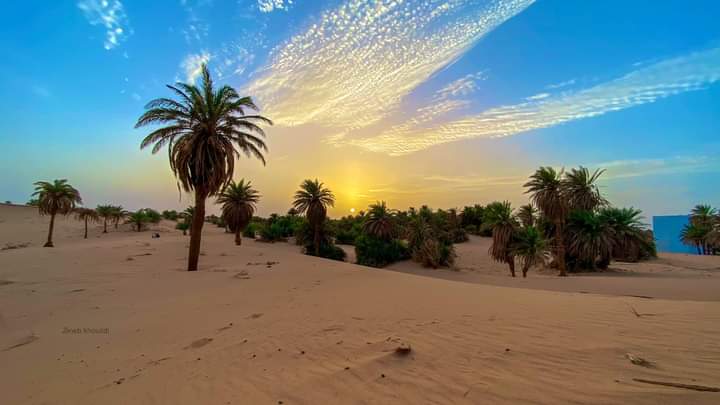 فعاليات المخيم الكشفي العالمي مشاركة من 40 ولاية على الهواء و الإنترنت المنظم بالعهد الوطني للتكوين العالي لإطارات الشباب بورقلة. - Réveil d'algérie