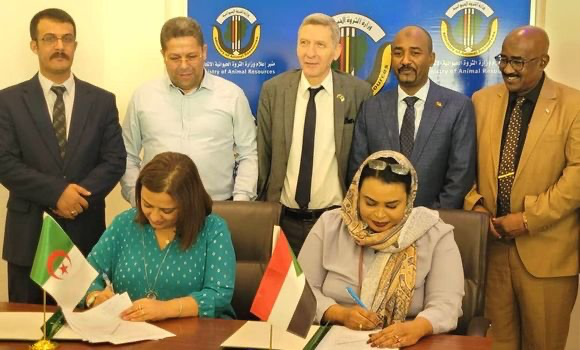 الجزائر- السودان: التوقيع على اتفاقية في مجال الصحة البيطرية. - Réveil d'algérie
