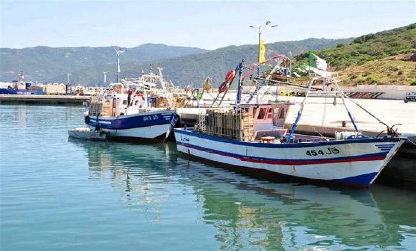 صيد البحري: رفع الإنتاج إلى 142 ألف طن بحلول سنة 2024. - Réveil d'algérie