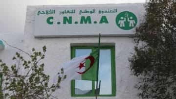 الصندوق الوطني للتعاون الفلاحي: رفع رأسماله الى 45 بالمائة. - Réveil d'algérie