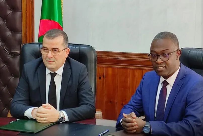تشغيل: نحو وضع آلية تنسيق رقمية لتعزيز التكفل بانشغالات الشباب. - Réveil d'algérie
