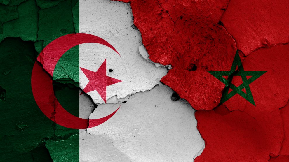 عبد المجيد تبون: لن يكون هناك طرد للمغاربة الموجودين بالجزائر  - Réveil d'algérie