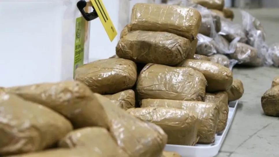 سيدي بلعباس : توقيف 4 أشخاص وحجز أزيد من 5 قناطير من القنب الهندي - Réveil d'algérie