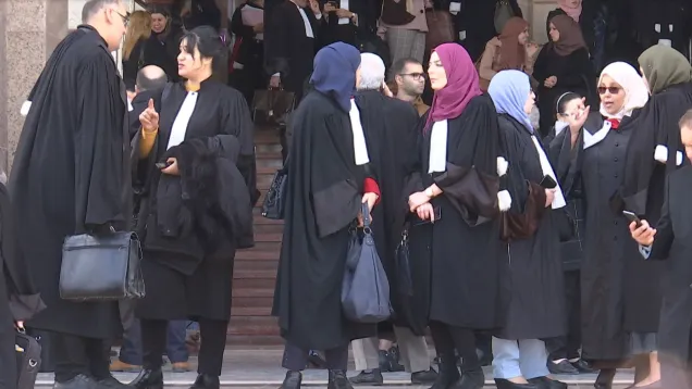 قانون الإجراءات الجزائية: المحامون يطلبون اجتماعًا طارئا مع وزير العدل - Réveil d'algérie