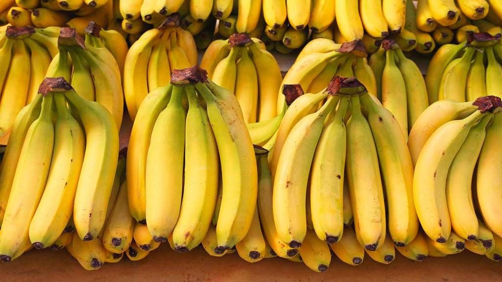 مضاربة وتبييض أموال…إيداع متهمين الحبس المؤقت في قضية استيراد غير قانوني للموز عبر ميناء عنابة - Réveil d'algérie