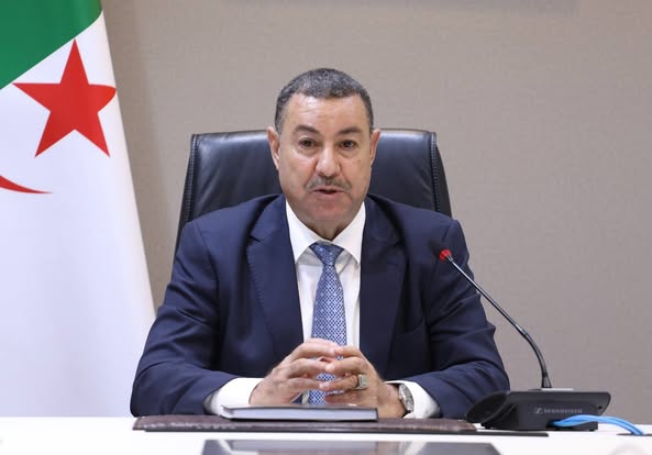 تعليمات بتسريع وتيرة أشغال ميناء أرزيو وتعزيز الصادرات خارج المحروقات - Réveil d'algérie