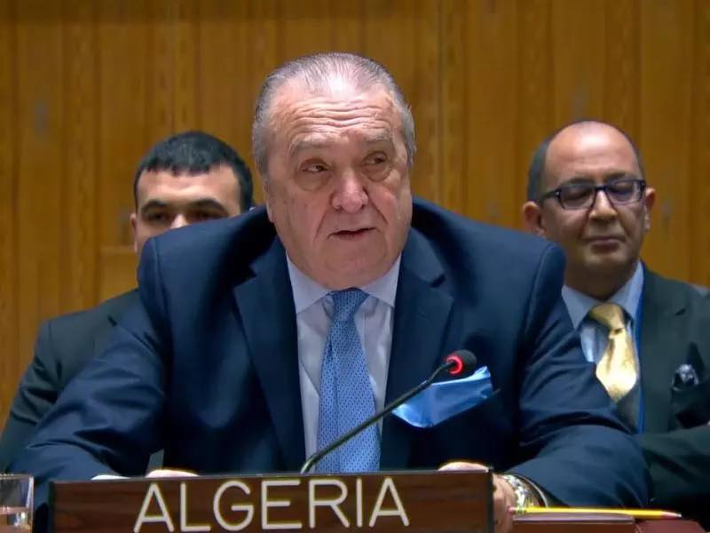الأمم المتحدة : انتخاب السفير الجزائري بن جامع ضمن رئاسة “إيكوسوك” - Réveil d'algérie