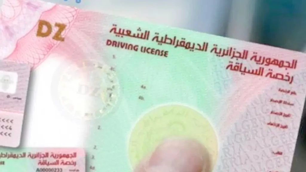 مرسوم جديد يفتح الباب أمام تحويل رخص السياقة الجزائرية في إيطاليا - Réveil d'algérie