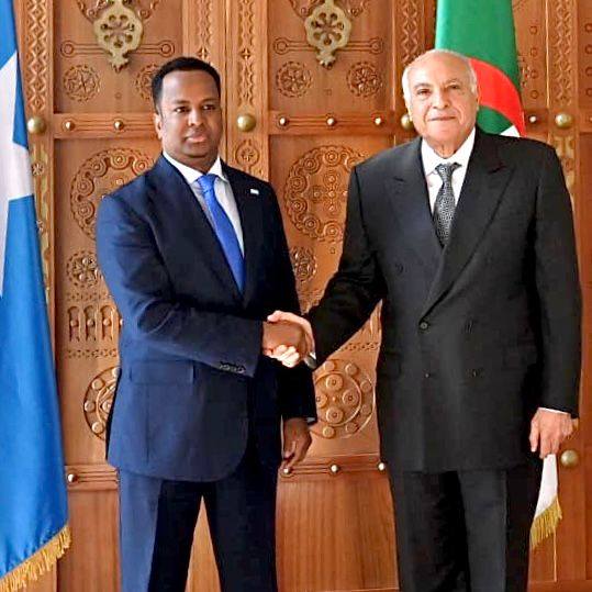 اتفاقيات جزائرية – صومالية جديدة ودعم مستمر لبناء الدولة الصومالية - Réveil d'algérie