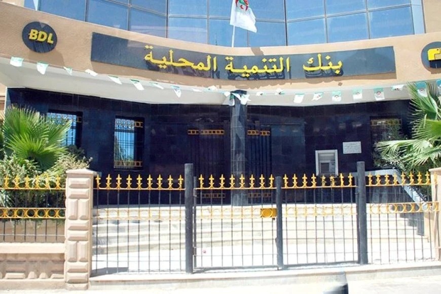 بنك التنمية المحلية يسجّل نموًا بنسبة 31% في الناتج الصافي خلال 2024 - Réveil d'algérie