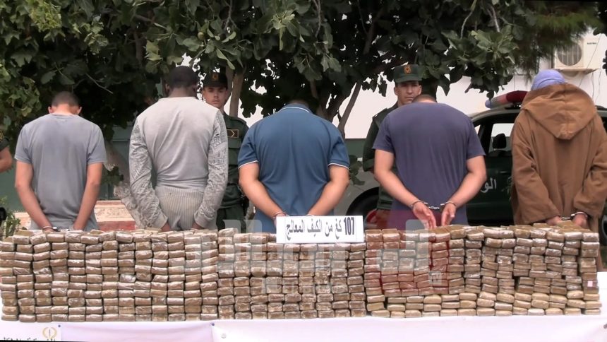البيض : حجز أزيد من قنطار من الكيف المعالج وأحجار نيزكية - Réveil d'algérie