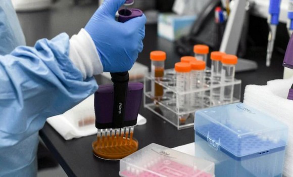 Coronavirus en Algérie : 219 cas, 142 guérisons et 8 décès ces dernières 24 heures - Réveil d'algérie