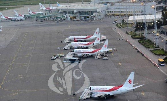 Ouverture des frontières aériennes: 6 vols hebdomadaires au programme - Réveil d'algérie