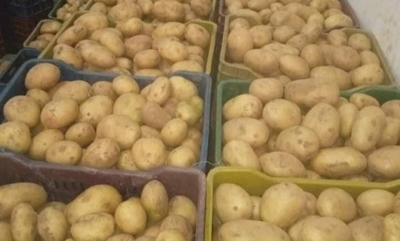 Déstockage de quantités supplémentaires de pomme de terre à travers 6 wilayas - Réveil d'algérie