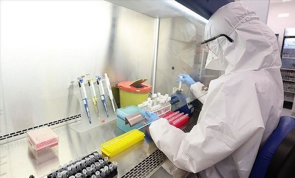 Coronavirus: 321 nouveaux cas, 238 guérisons et 8 décès - Réveil d'algérie