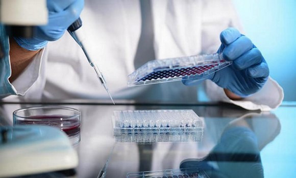 Coronavirus: 364 nouveaux cas, 238 guérisons et 10 décès - Réveil d'algérie