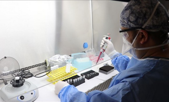 Coronavirus: 387 nouveaux cas, 243 guérisons et 7 décès - Réveil d'algérie