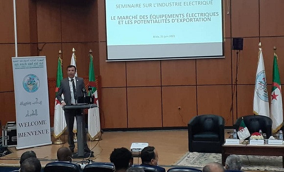 Impératif du développement de l’industrie électrique pour intégrer les marchés africains - Réveil d'algérie