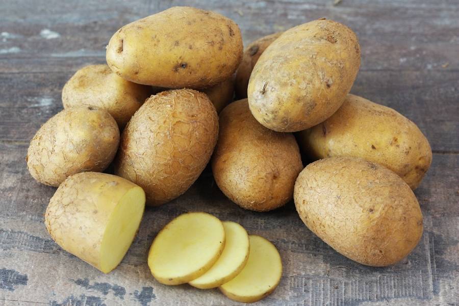 L’Algérie capable de fournir de la pomme de terre fraîche tout au long de l’année - Réveil d'algérie