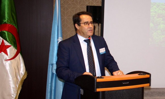 Patrimoine : Toufik Hamoum reconduit à la tête du Conseil consultatif de l’Unesco - Réveil d'algérie