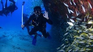 Protection de la biodiversité sous-marine - Réveil d'algérie