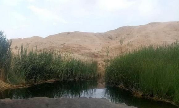 Tamanrasset: un enfant meurt noyé dans une mare d’eau dans la zone d’Aguenar - Réveil d'algérie