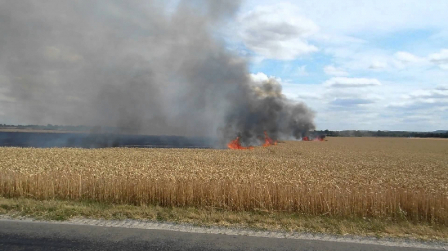 Un incendie a détruit plus de 50 hectares de blé - Réveil d'algérie