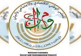 Le Conseil National Economique, Social et Environnemental organise une réunion sur les les contrats d’État - Réveil d'algérie