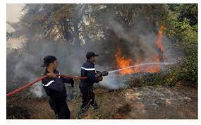 Un convoi de sensibilisation pour prévenir les incendies de forêt, à Naama - Réveil d'algérie