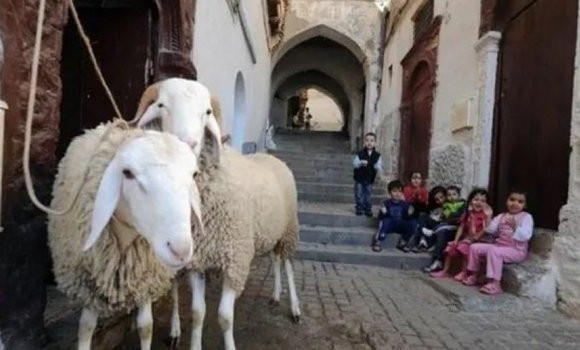 L’Aïd El Adha célébré le mardi 20 juillet - Réveil d'algérie