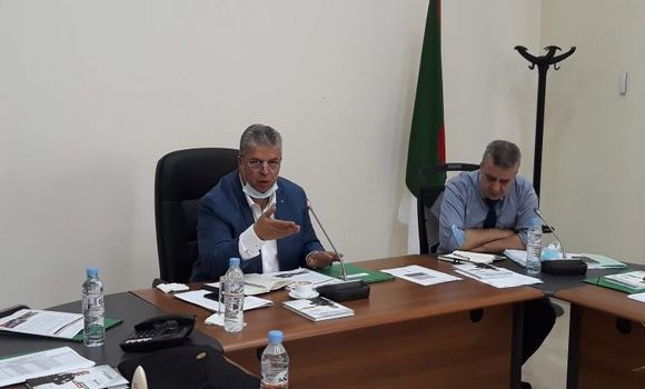 Foot/ Algérie : reprise des activités sportives dans tous les paliers et catégories confondue - Réveil d'algérie