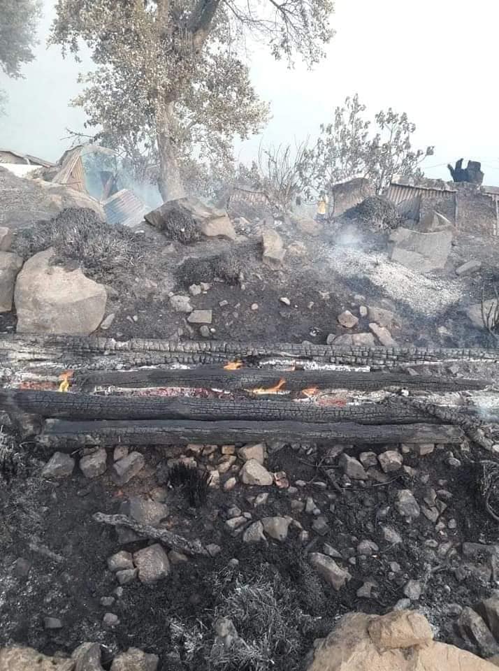 Plusieurs incendies de forêt ont été déclaré dans trois wilayas. - Réveil d'algérie