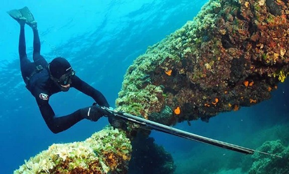 Pêche sous-marine: Des contraintes matérielles ont privé l’Algérie des Mondiaux - Réveil d'algérie