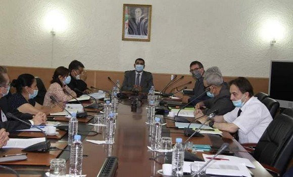 Transport maritime: Instructions pour revoir le mode de gestion des compagnies nationales - Réveil d'algérie