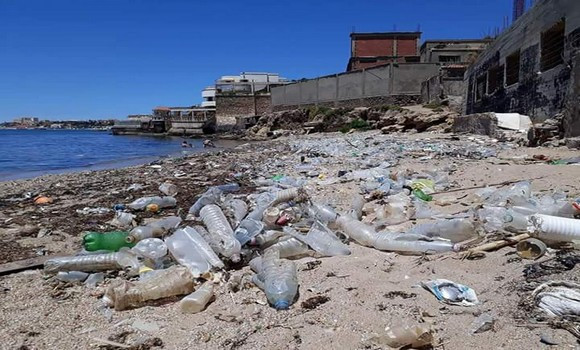 Algérie/UE: le projet WES lance des formations sur l’économie verte et circulaire - Réveil d'algérie