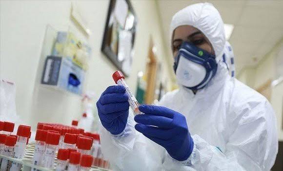 Corona en Algérie: 246 nouveaux cas et 20 décès. - Réveil d'algérie