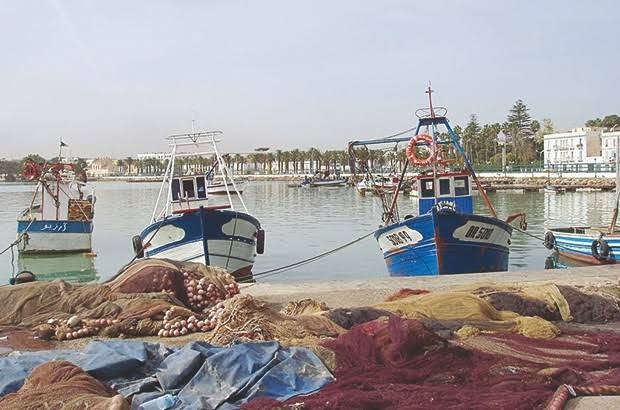 Des facilités pour l’octroi de crédits aux jeunes pêcheurs - Réveil d'algérie