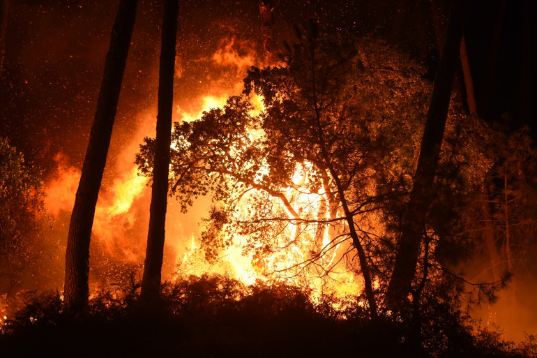 Les incendies déclarés hier dans différentes wilayas ont été immédiatement métrisé. - Réveil d'algérie