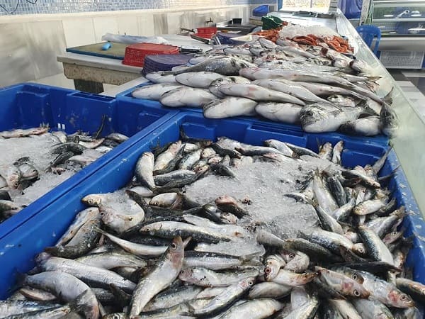 Création de 3 marchés de gros de vente de poissons et de produits halieutiques - Réveil d'algérie