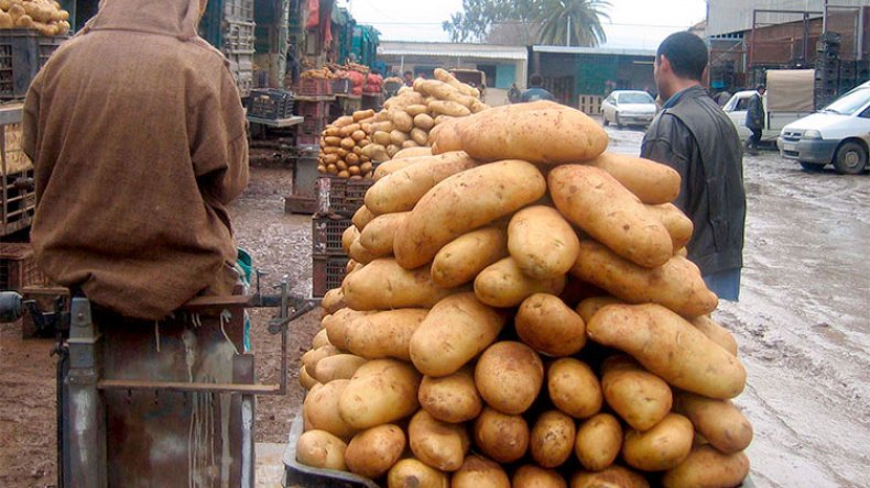L’autorisation des agriculteurs de vendre leurs produits directement au consommateur.. - Réveil d'algérie