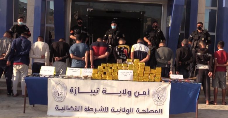 La saisie de 42 Kg de kif soigné a Tipaza. - Réveil d'algérie