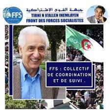 Appel à une mobilisation générale des militants pour « conquérir » les assemblées locales - Réveil d'algérie