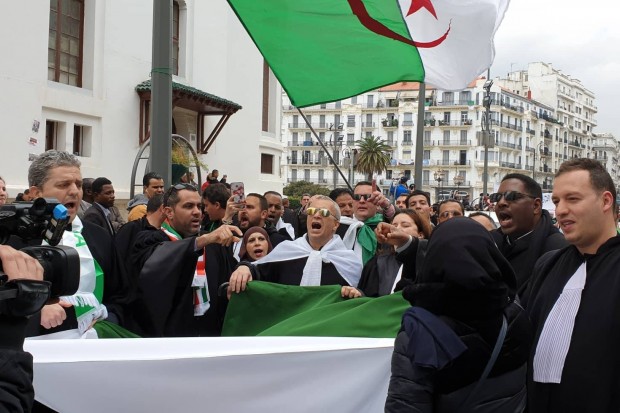 Arrêt des élections pour le renouvellement du Conseil de l’Ordre des Avocats par ordonnance du Tribunal Administratif - Réveil d'algérie