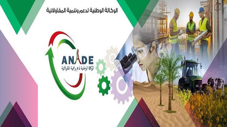 L’avant-projet de loi de finances 2022 : des exonérations fiscales au profit des jeunes allant de 3 à 10 ans - Réveil d'algérie